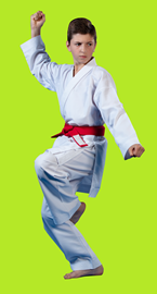 boy in a karate stance